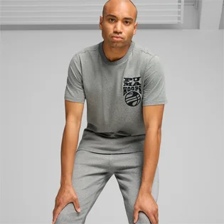 Футболка чоловіча Puma The Hooper Tee 2 Grey 624828-05