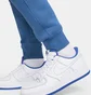 Штаны мужские Nike Sportswear Club Fleece Blue BV2671-407