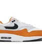 Кроссовки мужские Nike Air Max 1 Grey/Brown FN6952-101