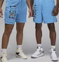 Шорти чоловічі Air Jordan Artist Series By Darien Birks Shorts Light Blue HF5474-462