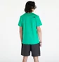 Футболка чоловіча The North Face S/S Fine Tee Green NF0A87NDPO8