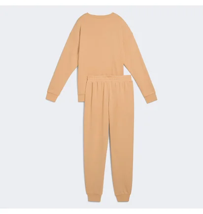Спортивный костюм женский Puma Relaxed Sweat Suit Tr Beige 685074-63