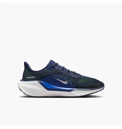 Кроссовки детские Nike Zoom Pegasus 41 Gs Blue FN5041-400