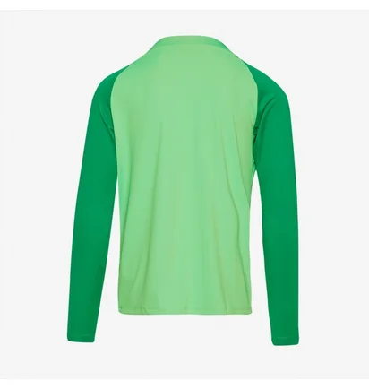 Кофта чоловіча Nike Dri-Fit Academy Pro Drill Top Green DH9230-329