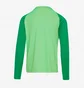 Кофта чоловіча Nike Dri-Fit Academy Pro Drill Top Green DH9230-329