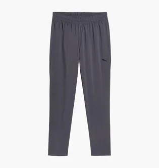 Штани чоловічі Puma Tad Essentials Grey 525916-69