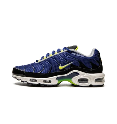 Кросівки чоловічі Nike Air Max Plus Blue DM0032-400
