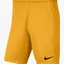 Шорты мужские Nike Dry Park Iii Short Nb K Yellow Bv6855-739