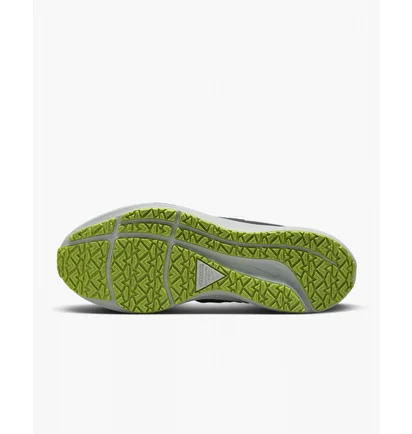 Кросівки жіночі Nike Pegasus 39 Shield Running Shoes Black Do7626-002