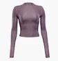 Кофта женская Nike Inf Ls Top Sheer Violet FV7915-523