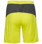 Шорты мужские Puma King Yellow 701701-37