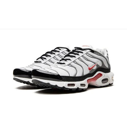 Кросівки чоловічі Nike Air Max Plus White/Grey DM0032-002