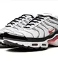 Кросівки чоловічі Nike Air Max Plus White/Grey DM0032-002