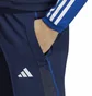 Штани жіночі Adidas Pants Tiro 23 C Tr Ptw Blue IC4609