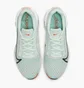 Кросівки жіночі Nike Womens Endurance Class Shoes Grey CK9406-338