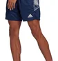 Шорты мужские Adidas Con21 Tr Sho Blue Gh7145