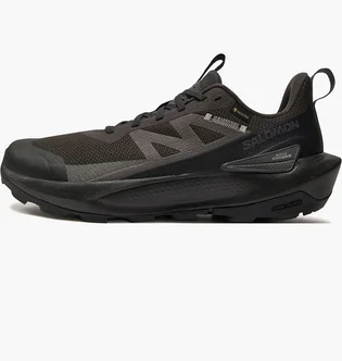 Кроссовки мужские Salomon Elixir Activ Gore-Tex Black L47456100