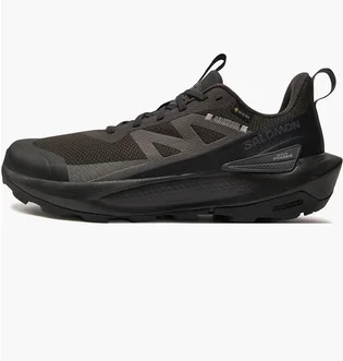 Кроссовки мужские Salomon Elixir Activ Gore-Tex Black L47456100