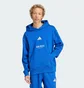 Худи мужское Adidas All Szn Fleece Graphic Sportswear Blue JJ3667