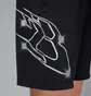 Шорты мужские Air Jordan Dri-Fit Graphic Black HF9943-010