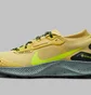 Кроссовки мужские Nike Pegasus Trail 3 Gore-Tex Yellow DC8793-300