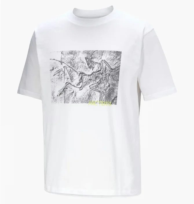 Футболка мужская Arc'teryx Kragg White X000009926_017552