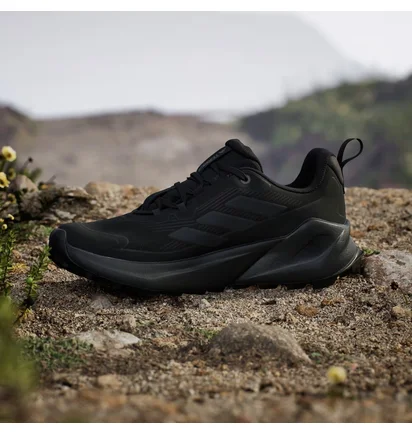 Кроссовки мужские Adidas Terrex Trailmaker 2.0 Gore-Tex Black IH0617