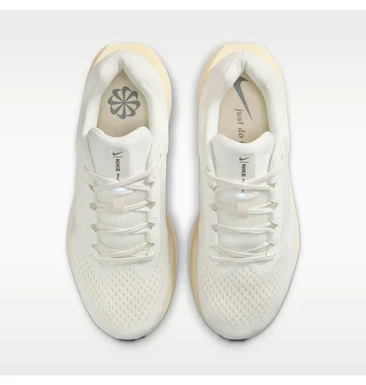 Кроссовки женские Nike Air Winflo 11 Beige FJ9510-113