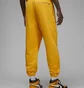 Штани чоловічі Air Jordan Wordmark Fleece Pant Yellow FJ0696-739