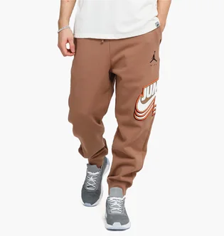 Штаны мужские Air Jordan M J JMPMN FLC PANT DC9608-256