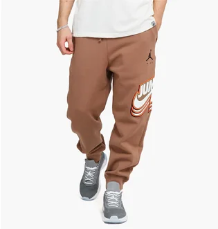 Штаны мужские Air Jordan M J JMPMN FLC PANT DC9608-256