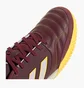 Футзалки унісекс Adidas Top Sala Competition In Halle Bordo IE7549