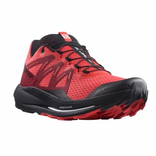 Кроссовки мужские Salomon Pulsar Trail Red 416029