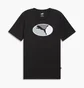 Футболка мужская Puma Oval Tee Black 682218-01