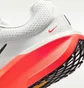 Кросівки чоловічі Nike Air Winflo White FJ9509-111