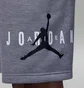 Шорты детские Air Jordan Sustainable Grey 95B911-GEH