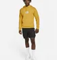 Худи мужское Air Jordan Essentials Yellow DA9816-713