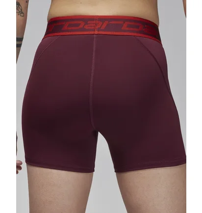 Шорты женские Air Jordan Sport 5 Shorts Violet FB4623-681