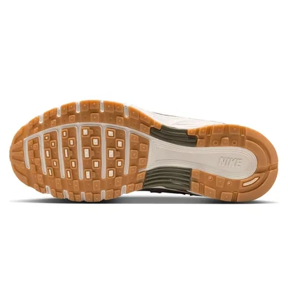 Кросівки жіночі Nike P-6000 WomenS Shoes Beige BV1021-016