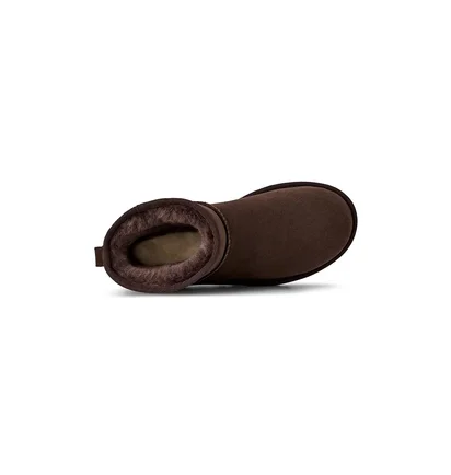 Уггі жіночі Classic Classic Mini Ii Brown 1016222-DDC