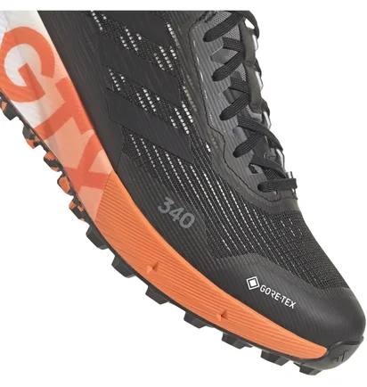 Кросівки чоловічі Adidas Terrex Agravic Flow 2 Gtx Black HR1110