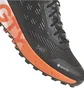 Кросівки чоловічі Adidas Terrex Agravic Flow 2 Gtx Black HR1110