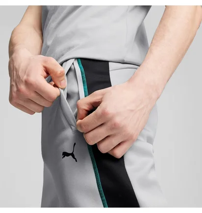 Штаны мужские Puma Mercedes-Amg Petronas F1® Mt7+ Track Pants Grey 627317-02