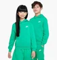 Кофта детская Nike Club Flc Hdi Green FD3000-324