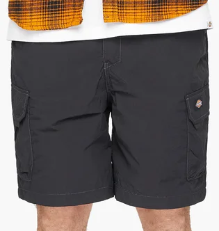 Шорти чоловічі Dickies Jackson Cargo Shorts Black DK0A4YACBLK1