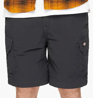 Шорти чоловічі Dickies Jackson Cargo Shorts Black DK0A4YACBLK1