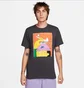 Футболка мужская Nike Sportswear Black FJ1099-060