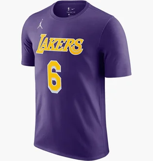 Футболка мужская Nike Nba Los Angeles Lakers Statement Edition Lebron James Violet CV9986-557