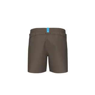 Шорти чоловічі Arena Adjustable Waist Beach Brown 010897-250