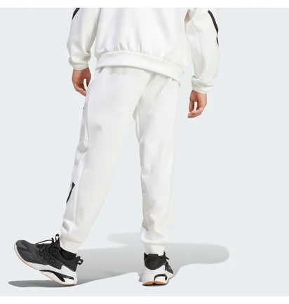 Штаны мужские Adidas Z.N.E. Tracksuit Bottoms White JF2449